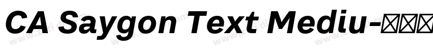 CA Saygon Text Mediu字体转换